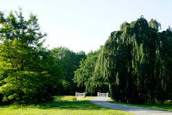 Karlsaue, Orangerie, Park, Kassel, Fulda
