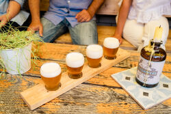 Bier, Craftbeer, Brauerei, Steckenpferd, Kreativbrauerei, Bar, Galerie